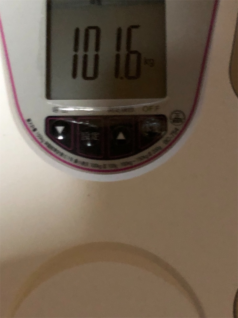 f:id:HamUsa:20190503200241j:image f:id:HamUsa:20190503200241j:image