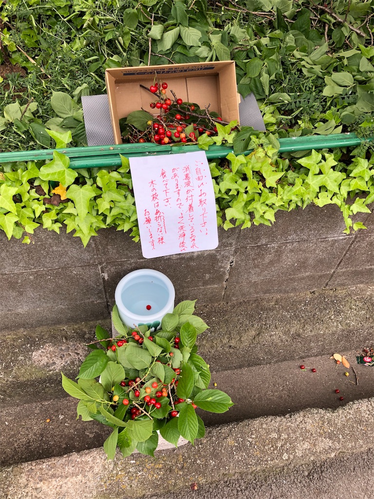 f:id:HamUsa:20190506142426j:image f:id:HamUsa:20190506142426j:image