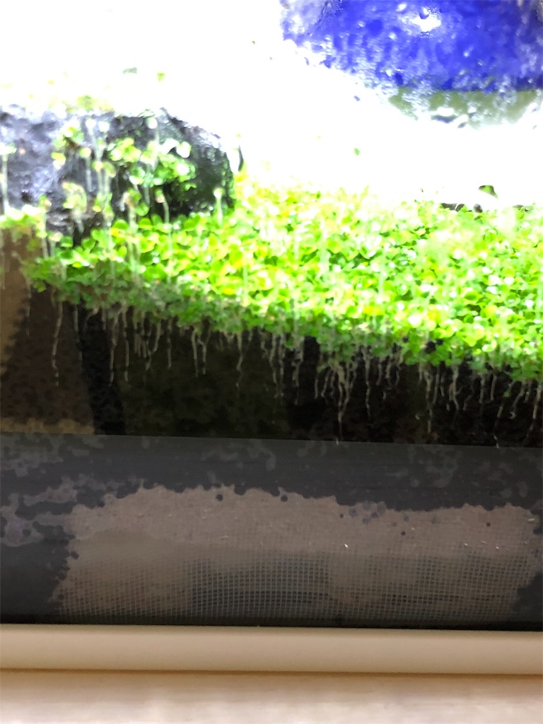 f:id:HamUsa:20190607175514j:image f:id:HamUsa:20190607175514j:image