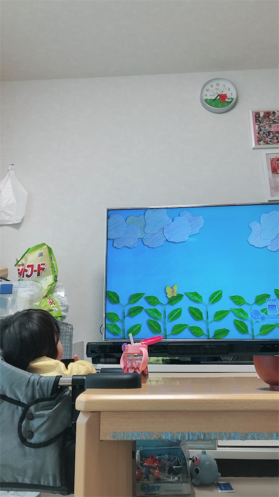 f:id:HamUsa:20190610113834j:image