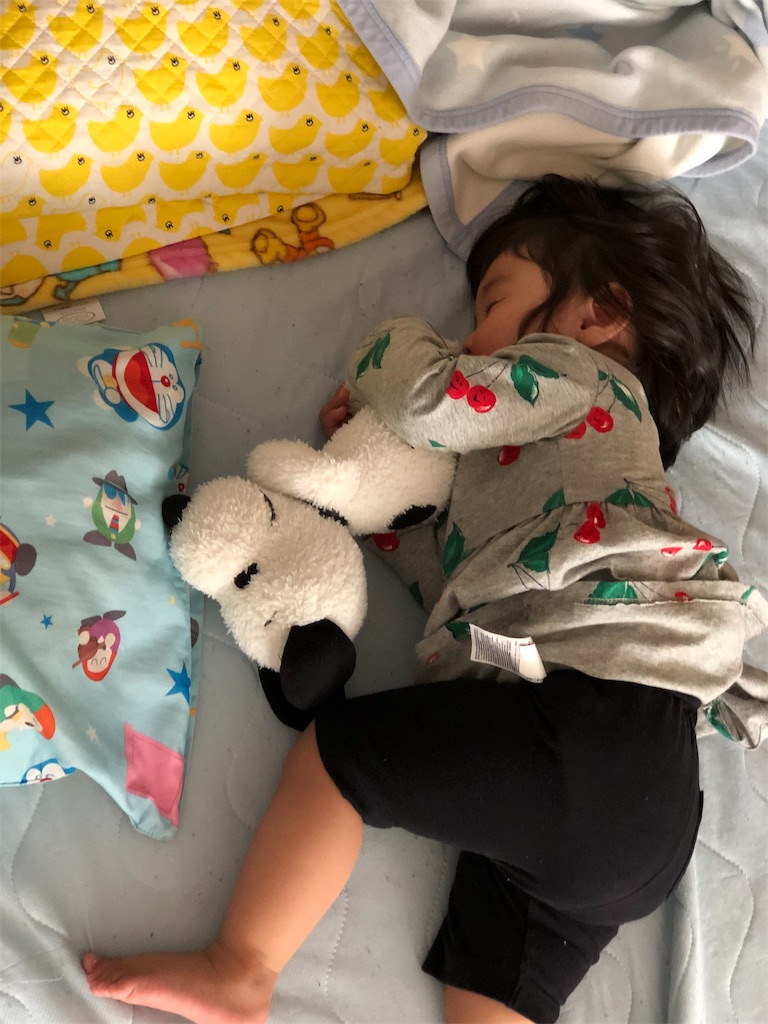 f:id:HamUsa:20190610114512j:image