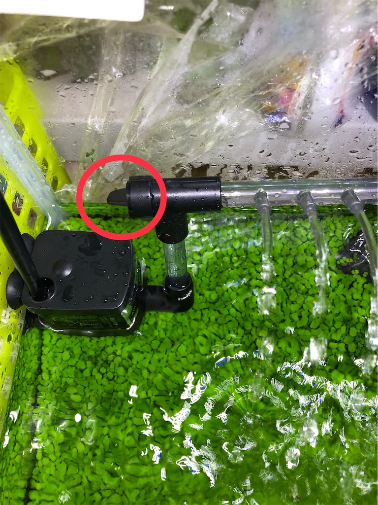 f:id:HamUsa:20190610121516j:image