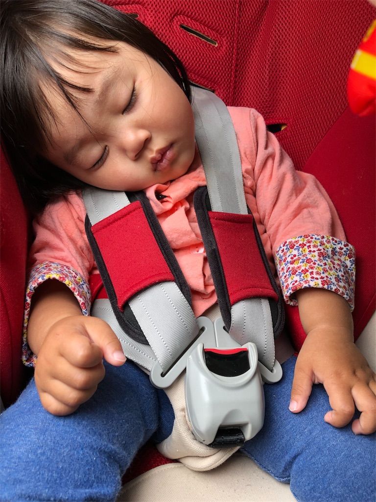f:id:HamUsa:20190618181922j:image