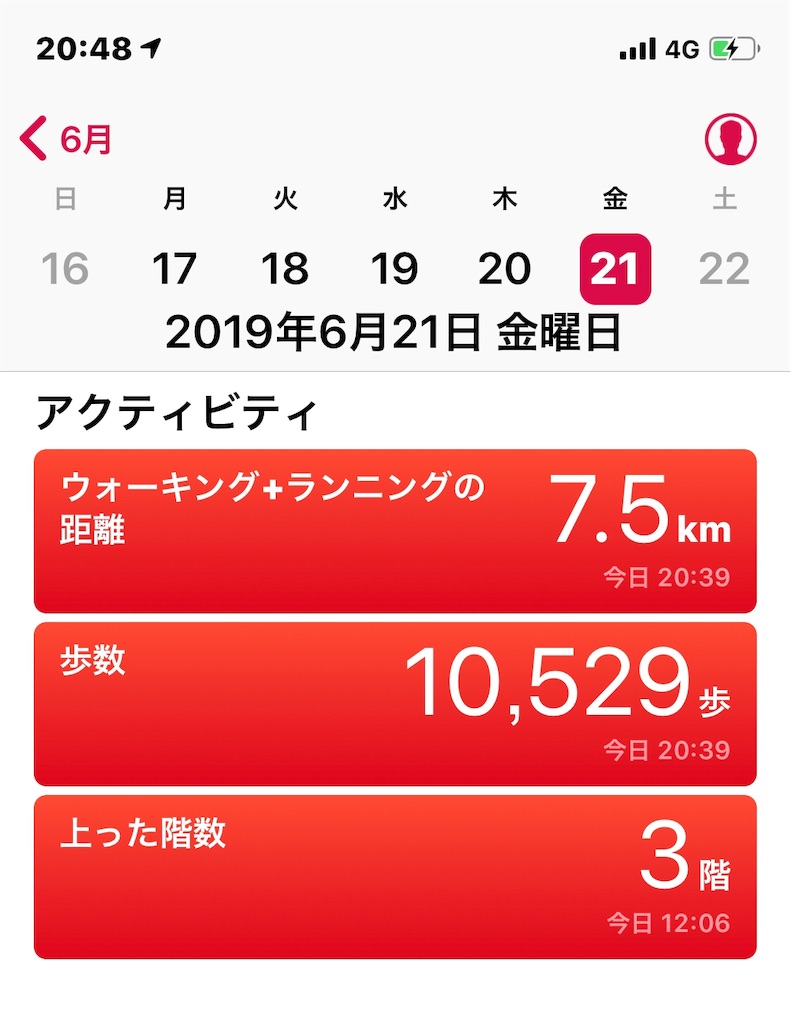 f:id:HamUsa:20190621204917j:image