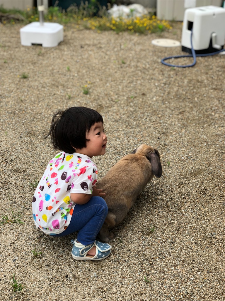 f:id:HamUsa:20190705212725j:image f:id:HamUsa:20190705212725j:image