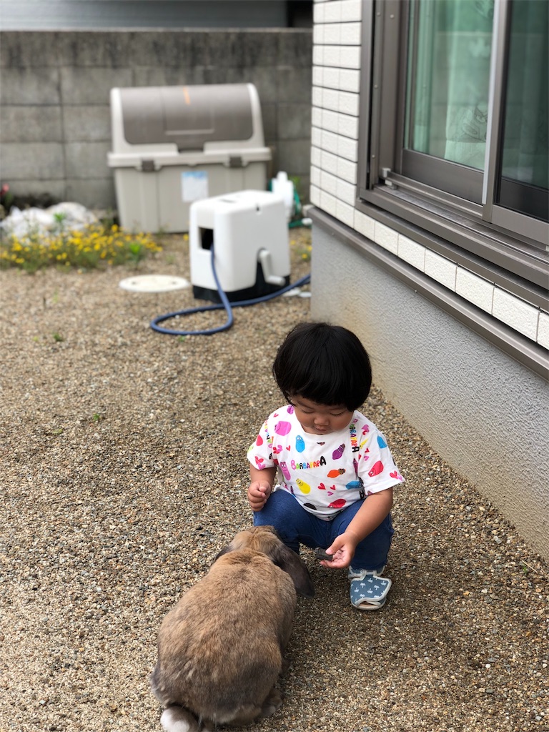 f:id:HamUsa:20190705212728j:image f:id:HamUsa:20190705212728j:image