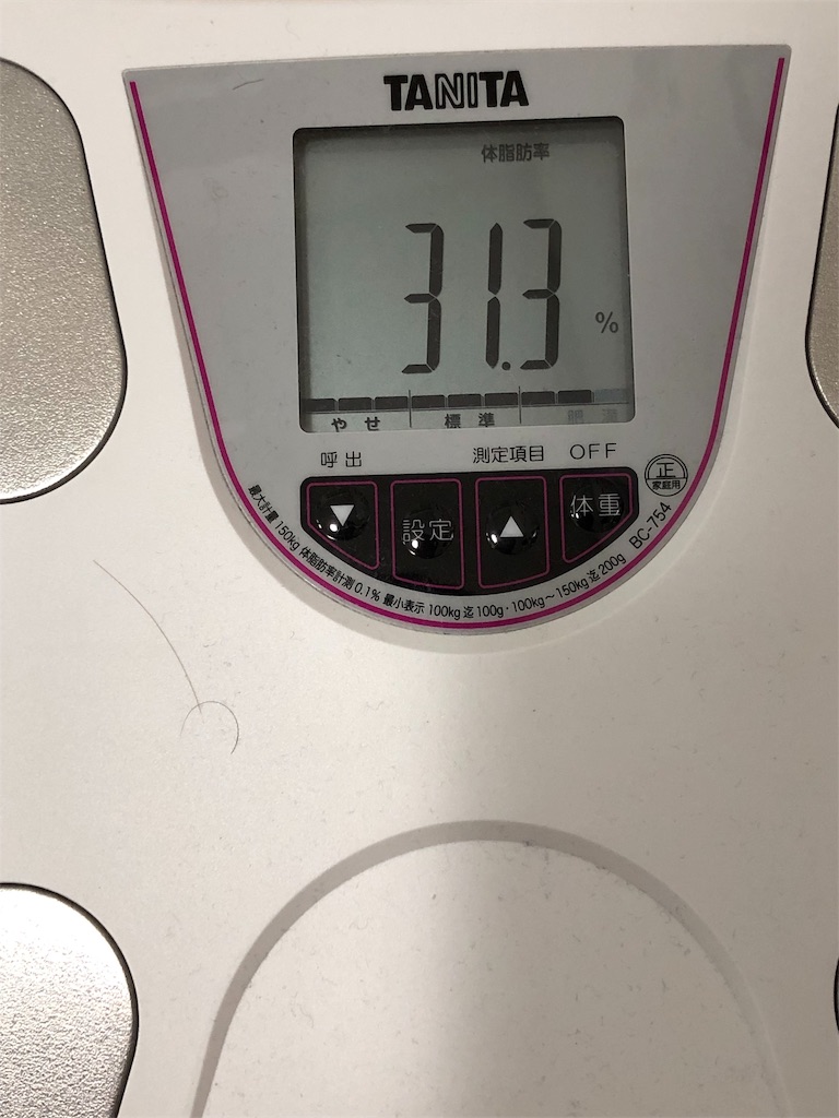 f:id:HamUsa:20190709101710j:image