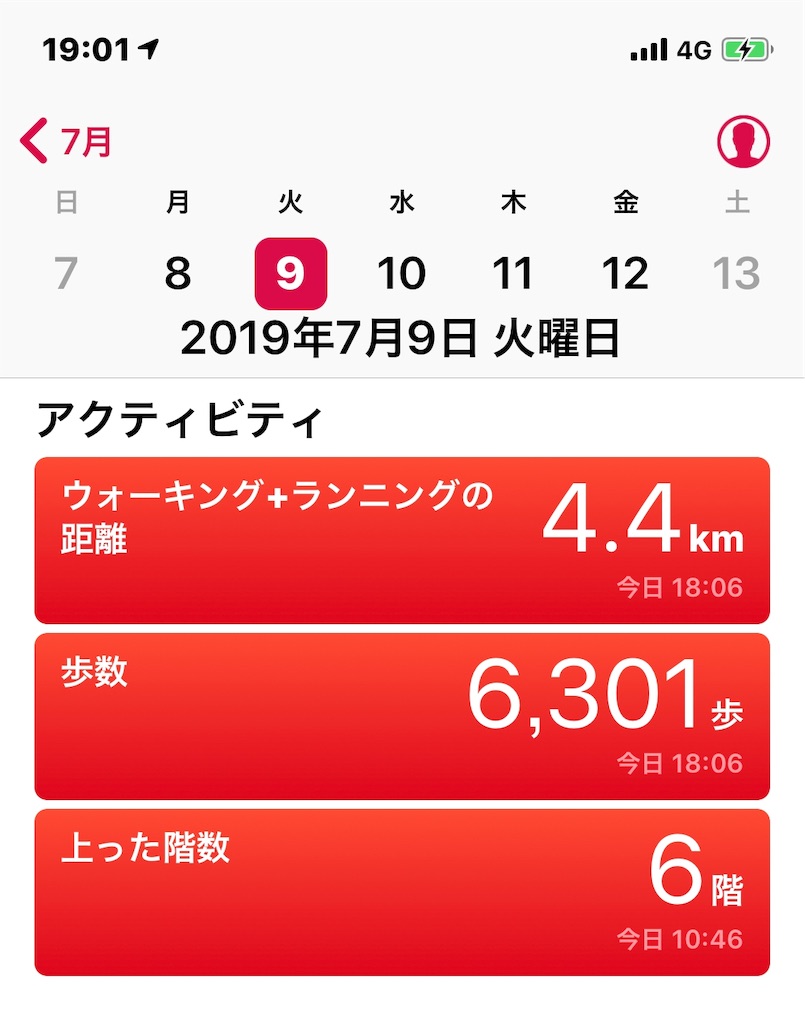 f:id:HamUsa:20190709190213j:image