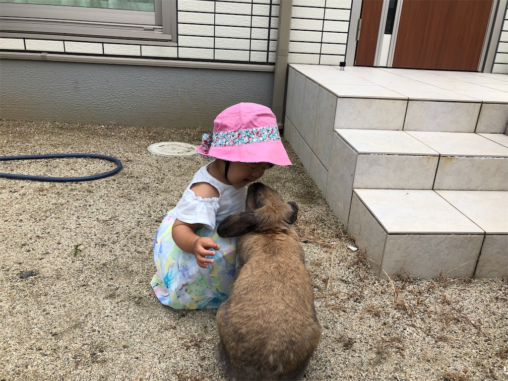 f:id:HamUsa:20190717161106j:image f:id:HamUsa:20190717161106j:image
