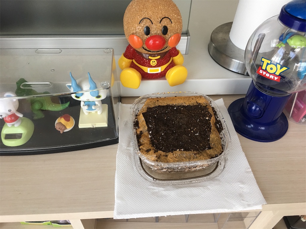 f:id:HamUsa:20190718080420j:image f:id:HamUsa:20190718080420j:image