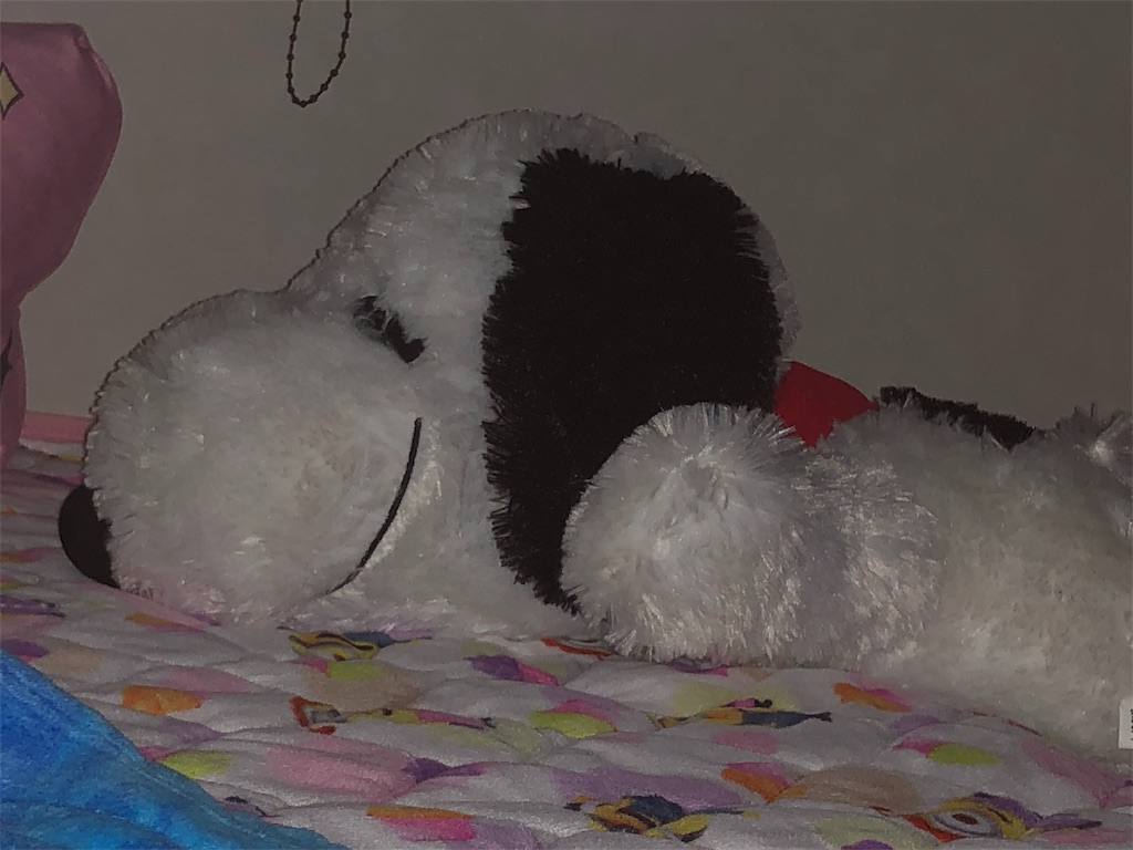 f:id:HamUsa:20190719142256j:image f:id:HamUsa:20190719142256j:image