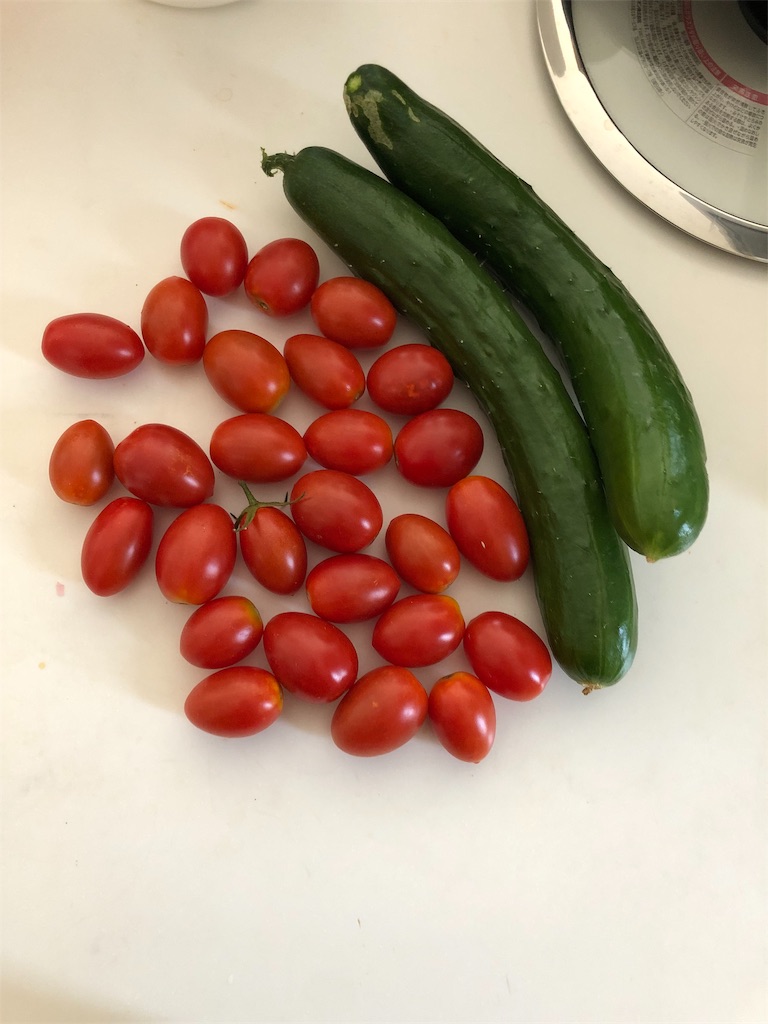 f:id:HamUsa:20190724171902j:image
