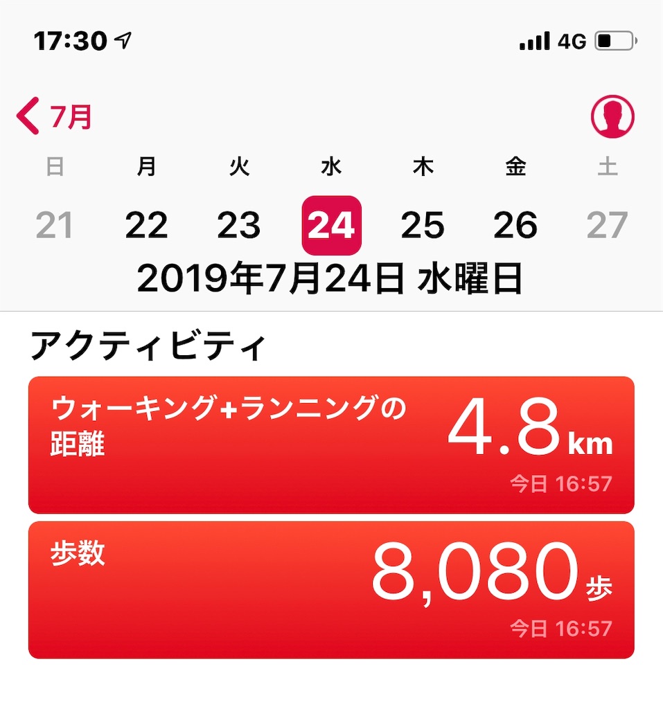f:id:HamUsa:20190724173017j:image