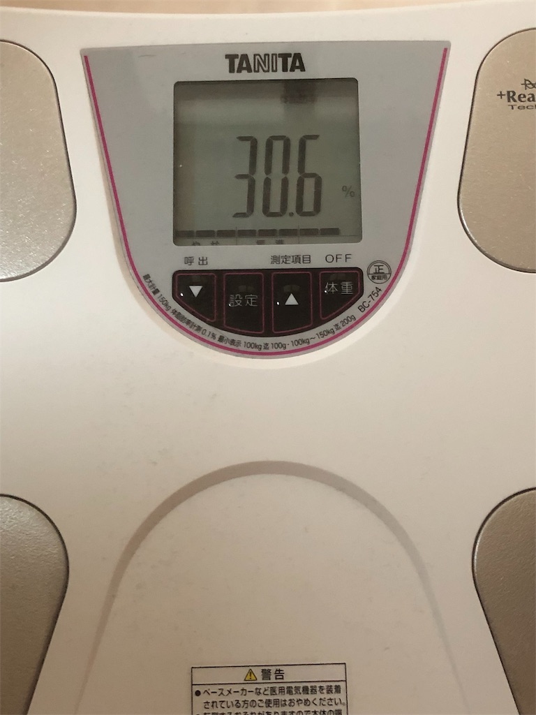 f:id:HamUsa:20190802101211j:image