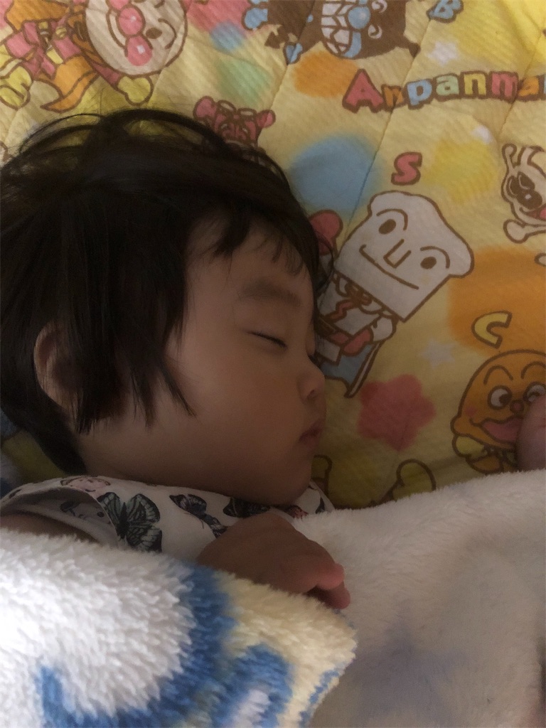 f:id:HamUsa:20190804180747j:image