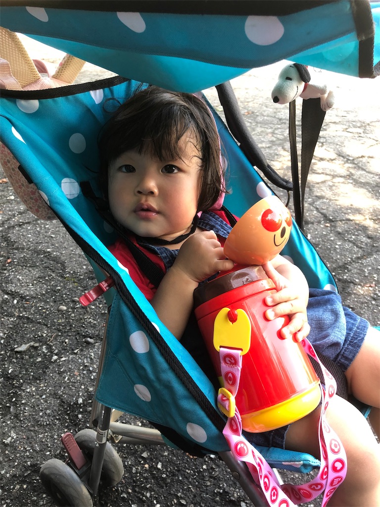 f:id:HamUsa:20190816162428j:image f:id:HamUsa:20190816162428j:image