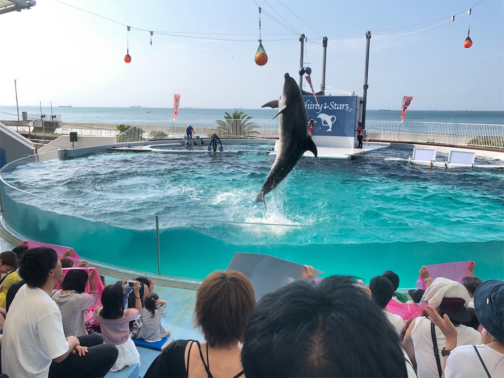 f:id:HamUsa:20190816162853j:image f:id:HamUsa:20190816162853j:image