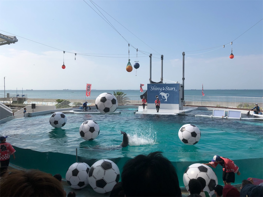 f:id:HamUsa:20190816162858j:image f:id:HamUsa:20190816162858j:image