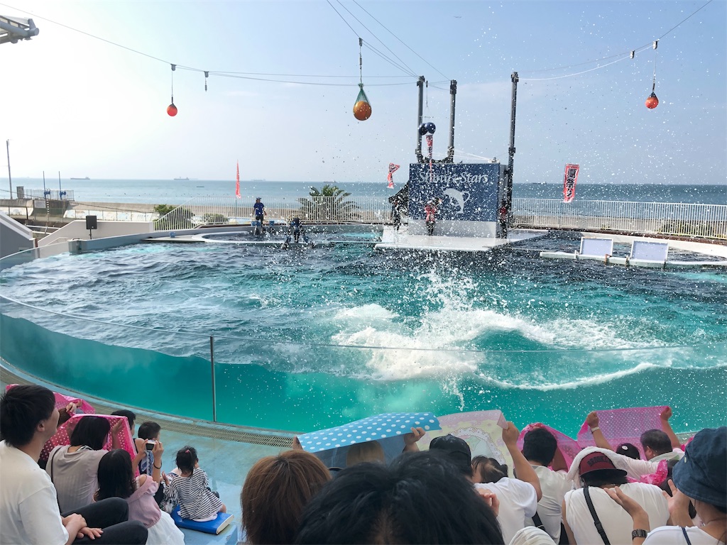 f:id:HamUsa:20190816162902j:image f:id:HamUsa:20190816162902j:image
