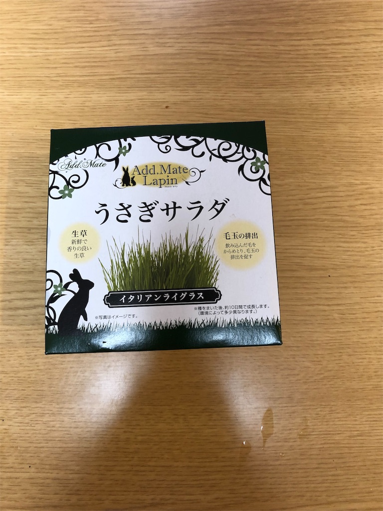 f:id:HamUsa:20190820084542j:image