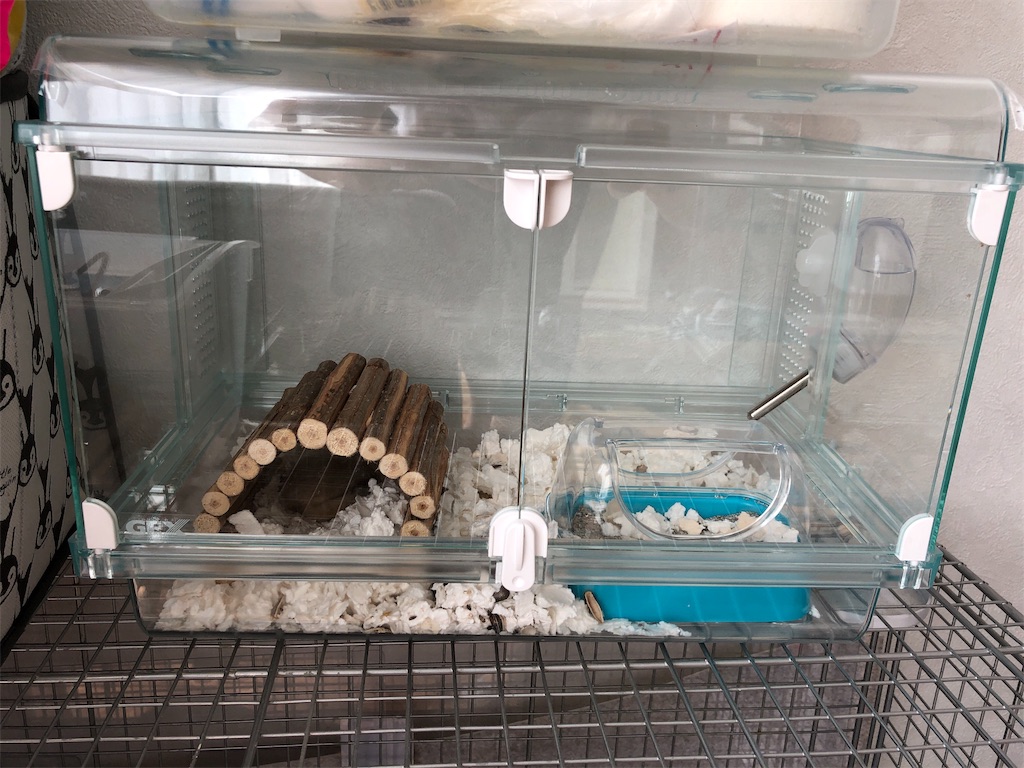 f:id:HamUsa:20190825141811j:image