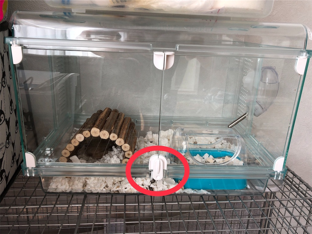 f:id:HamUsa:20190825143645j:image