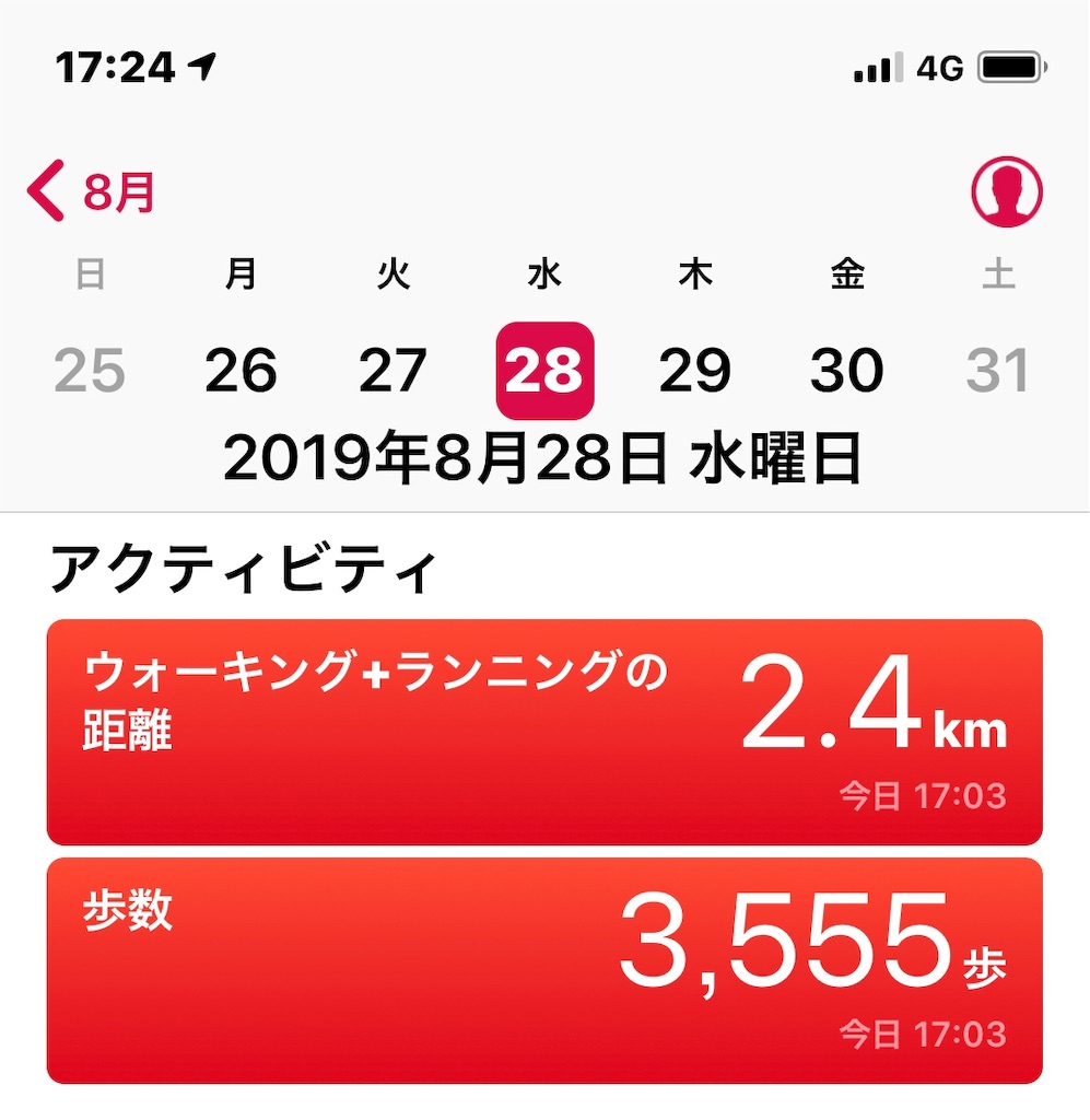 f:id:HamUsa:20190828172453j:image
