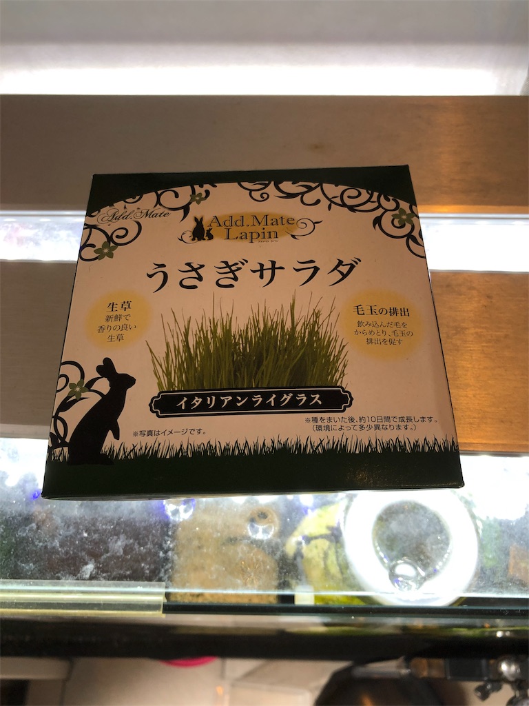 f:id:HamUsa:20190902060743j:image