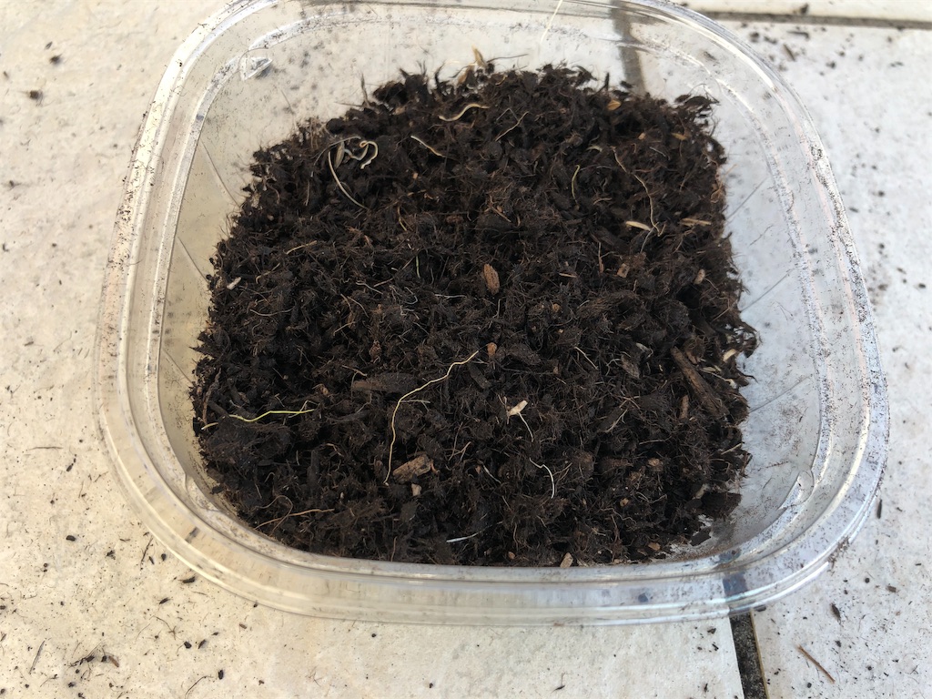 f:id:HamUsa:20190907181416j:image