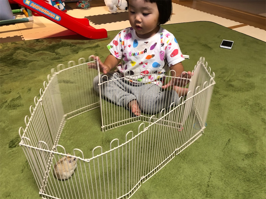 f:id:HamUsa:20190919205126j:image f:id:HamUsa:20190919205126j:image