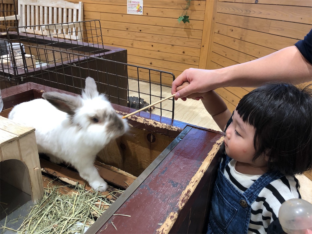 f:id:HamUsa:20190920160448j:image f:id:HamUsa:20190920160448j:image