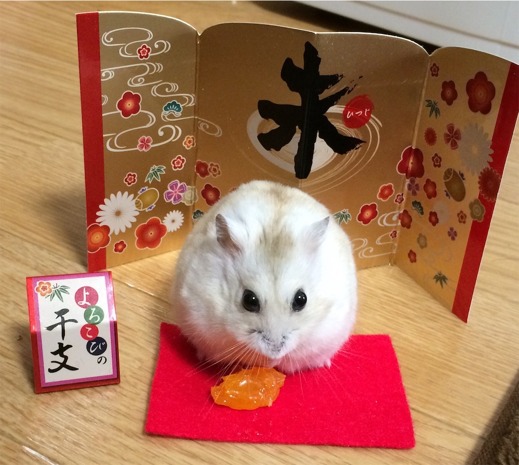f:id:HamUsa:20190923103623j:image
