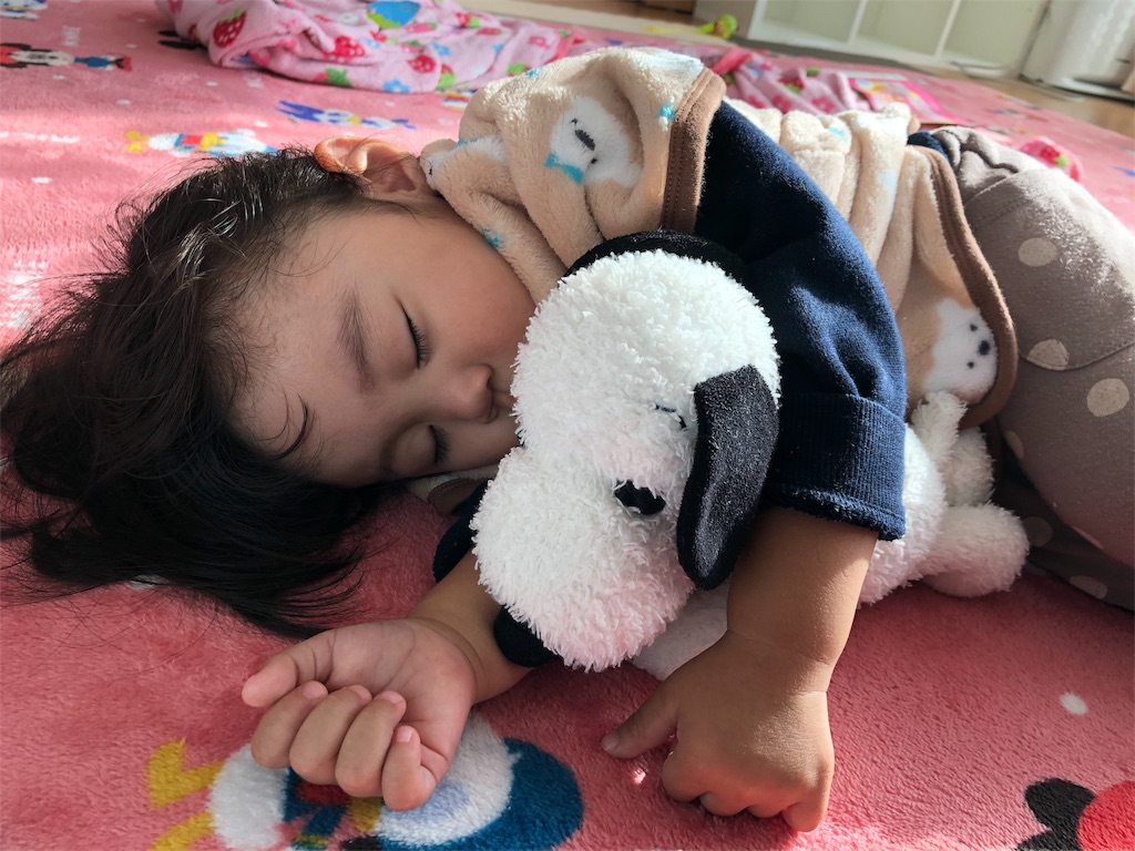 f:id:HamUsa:20191030143002j:image