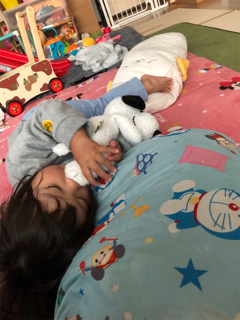 f:id:HamUsa:20191112164335j:image f:id:HamUsa:20191112164335j:image