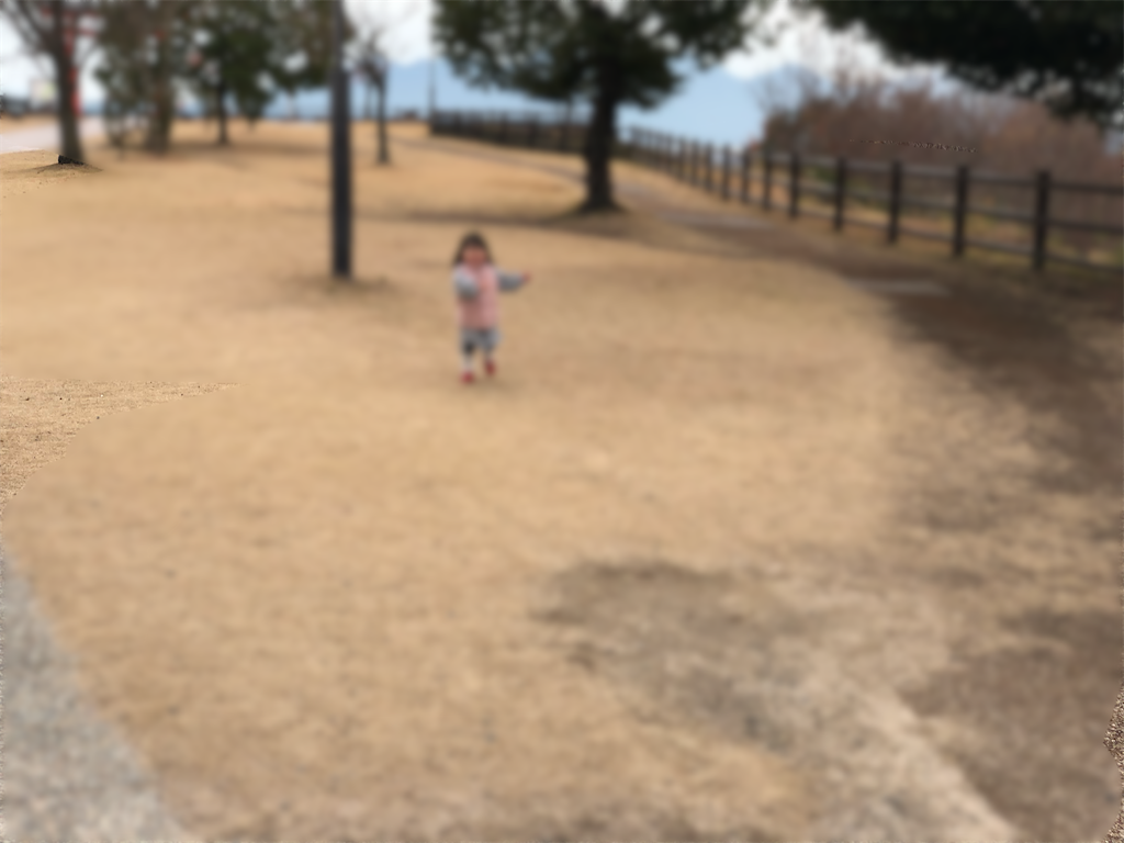 f:id:HamUsa:20191221180020p:image
