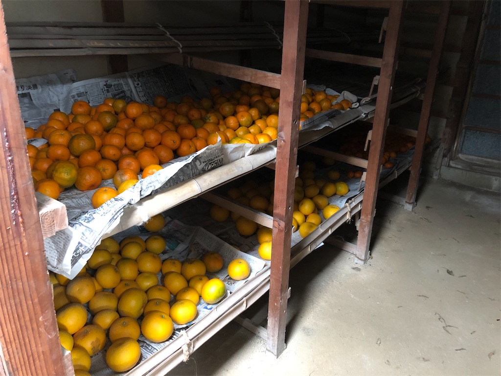 f:id:HamUsa:20191222163249j:image