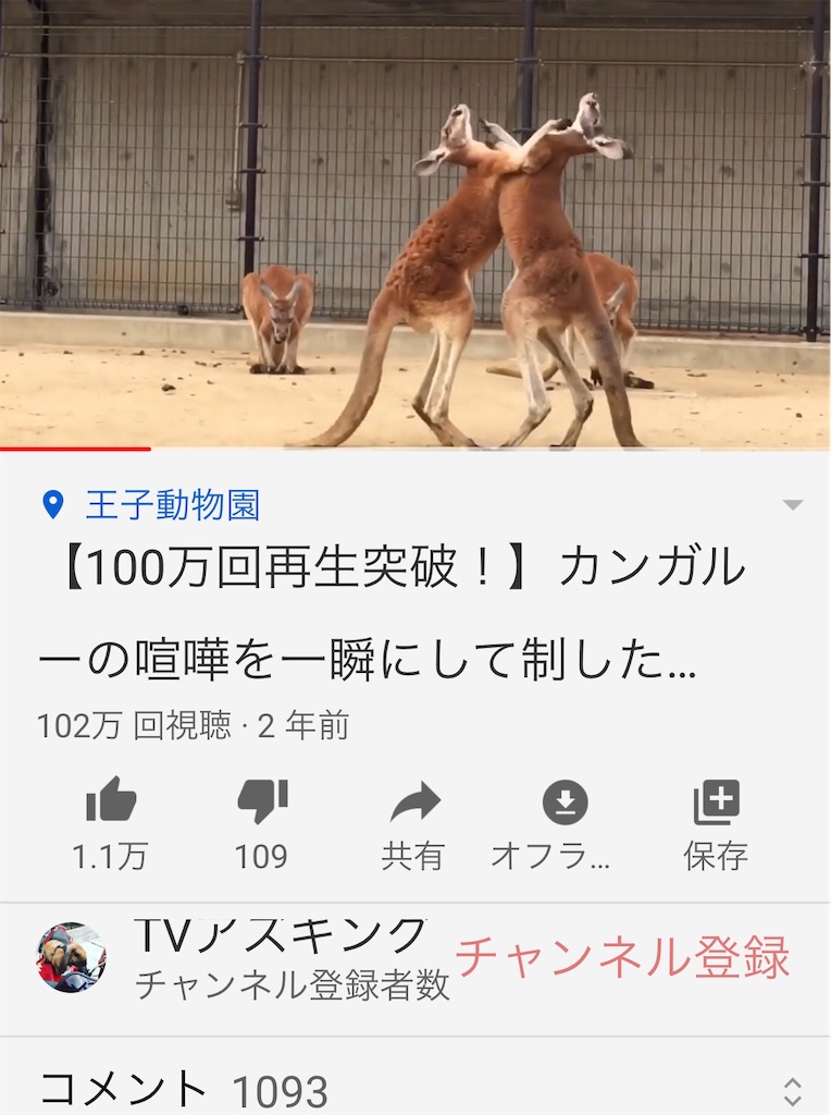 f:id:HamUsa:20200625084811j:plain f:id:HamUsa:20200625084811j:plain