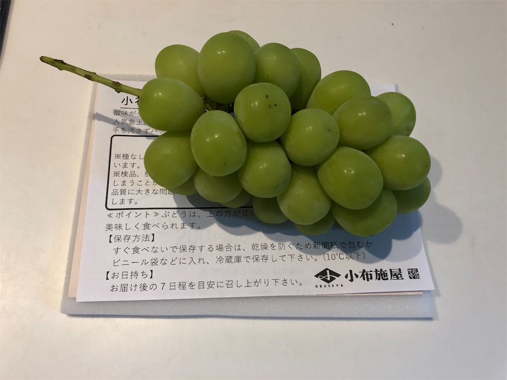 f:id:HamUsa:20201010214825j:plain f:id:HamUsa:20201010214825j:plain