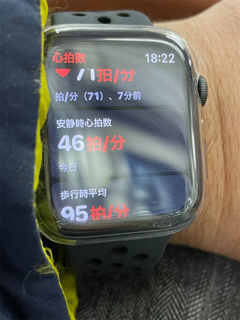 f:id:HamUsa:20201217182239j:plain
