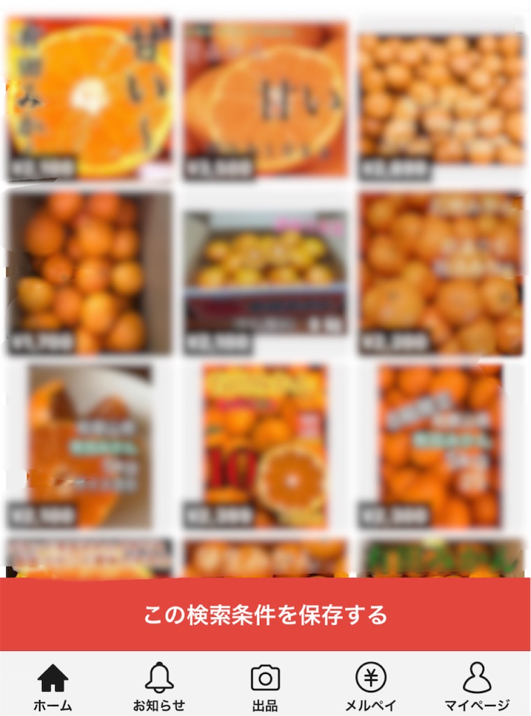 f:id:HamUsa:20201226201128j:plain
