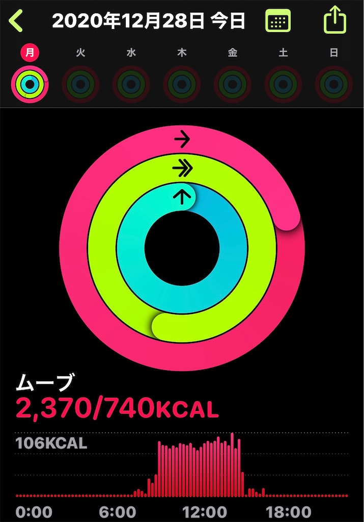 f:id:HamUsa:20201228204809j:plain