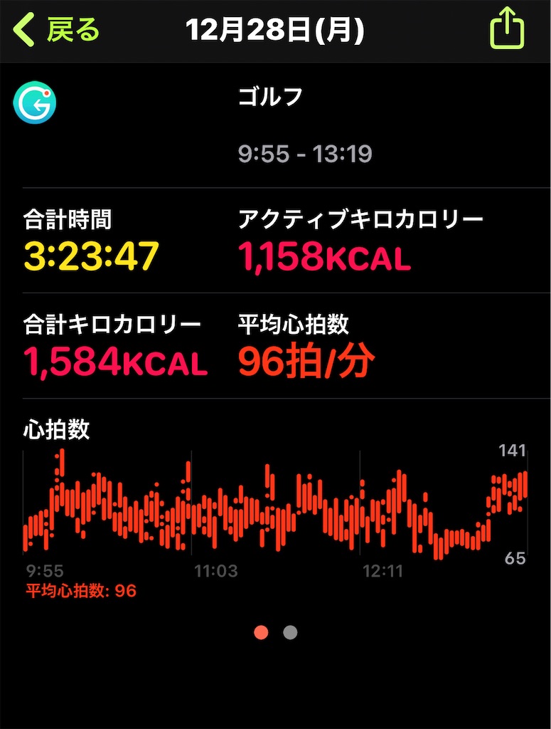 f:id:HamUsa:20201228205944j:plain