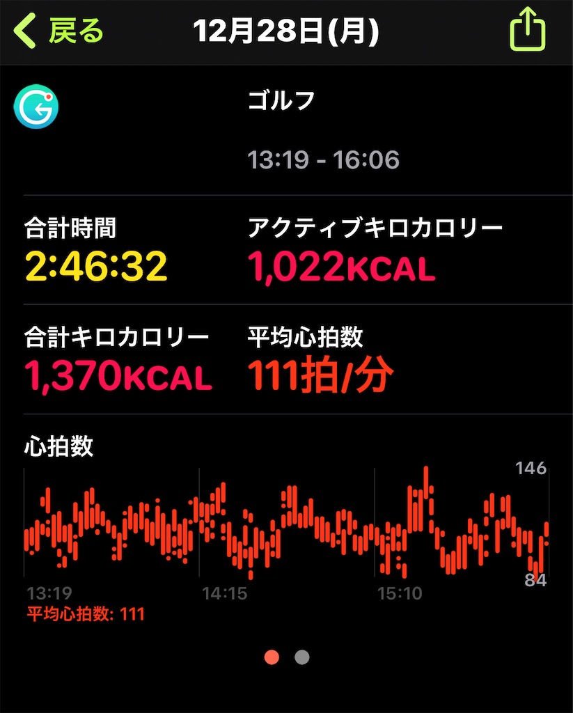 f:id:HamUsa:20201228210019j:plain