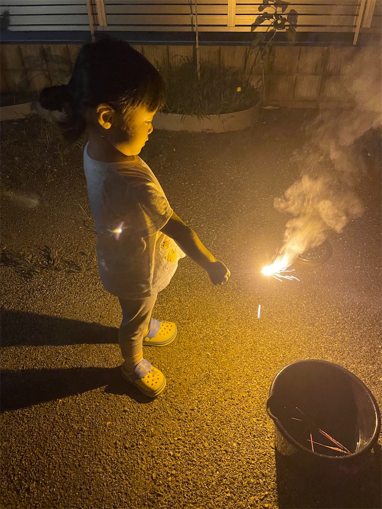 手持ち花火 安物は一瞬で消えてしまう Hamusa S Diary