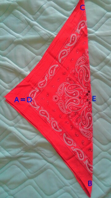 f:id:Hama-no-baramon:20200307103323j:image