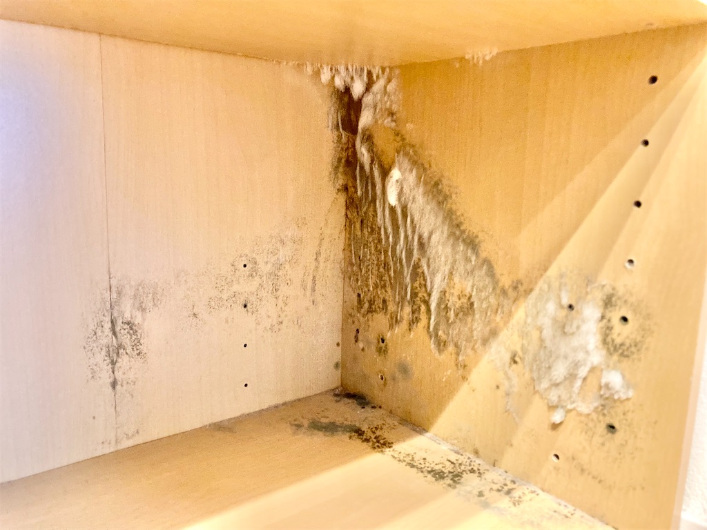 f:id:Hamamama:20240321093004j:image