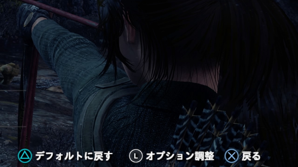 f:id:Hamasukei:20161119192257j:plain