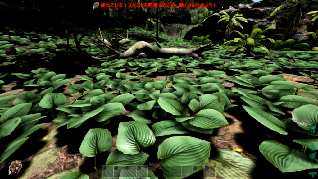 f:id:Hamasukei:20161210071034j:plain
