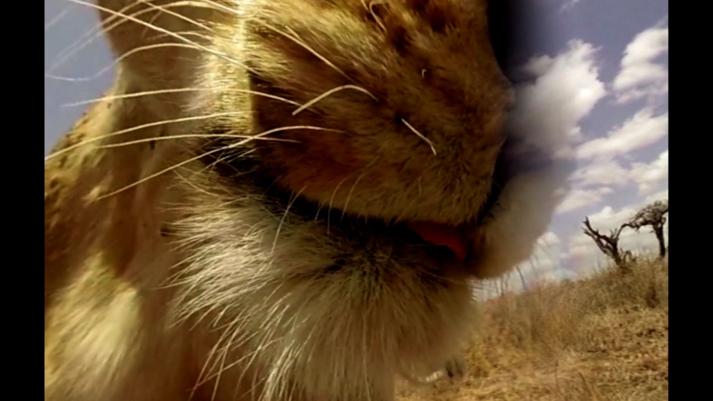 f:id:Hamasukei:20170314155450j:plain f:id:Hamasukei:20170314155450j:plain