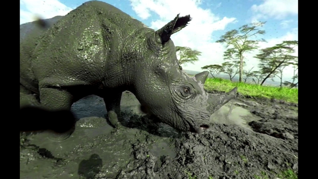 f:id:Hamasukei:20170314155807j:plain f:id:Hamasukei:20170314155807j:plain